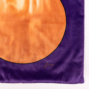 
                  
                    Load image into Gallery viewer, &amp;quot;Path&amp;quot; Velvet Cushion
                  
                